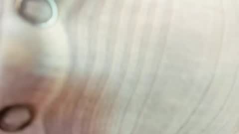 Snapshot of realtoxxxmaria chatting on September 2025 12:54:01 AM Maria Realto online show from September 2025 12:54:01 AM