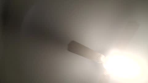 red24devils online show from February 2025 05:03:02 AM