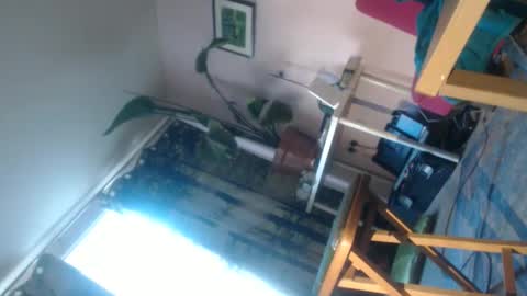 red69600986270 online show from June 2026 06:52:01 PM