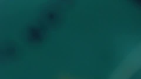 Snapshot of redhot_chilipeppers chatting on February 2025 09:55:01 AM Lupe online show from February 2025 09:55:01 AM