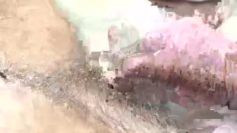 Snapshot of redhotslovesex chatting on February 2025 10:51:02 AM redhotslovesex online show from February 2025 10:51:02 AM