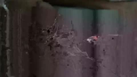 Snapshot of redhotslovesex chatting on October 2025 08:09:01 AM redhotslovesex online show from October 2025 08:09:01 AM