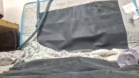 Snapshot of rednicedick chatting on October 2025 01:17:02 AM rednicedick online show from October 2025 01:17:02 AM