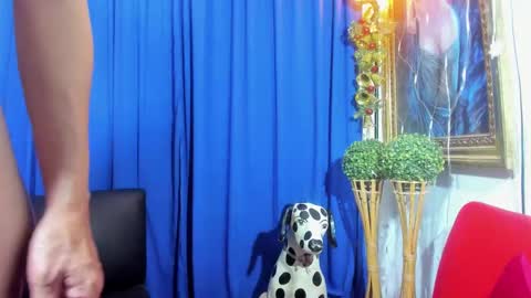 Snapshot of redroomxx chatting on February 2025 04:04:01 PM MIA online show from February 2025 04:04:01 PM