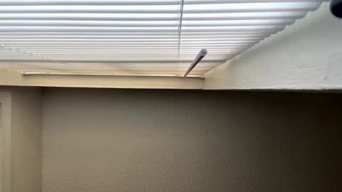 Snapshot of redsoilclay chatting on September 2025 10:48:01 PM redsoilclay online show from September 2025 10:48:01 PM