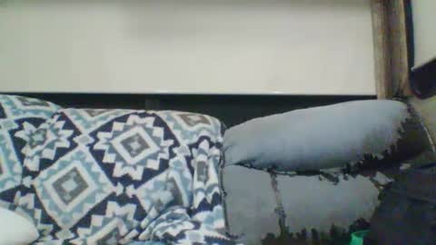 Snapshot of reese960384 chatting on January 2026 07:35:01 AM reese960384 online show from January 2026 07:35:01 AM