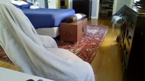 RegularGuyNOLA online show from January 2025 06:14:02 PM