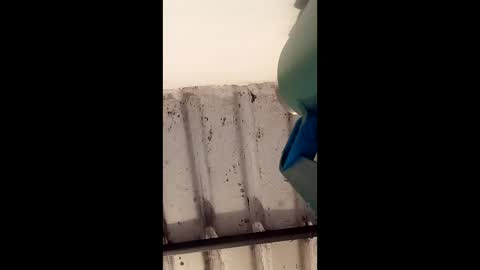 reinft online show from March 2026 10:06:01 AM