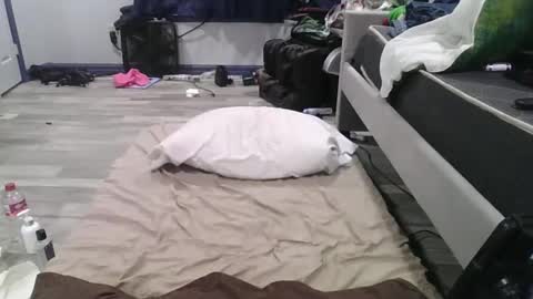 Snapshot of remshotdt chatting on February 2025 04:26:01 PM remshotdt online show from February 2025 04:26:01 PM