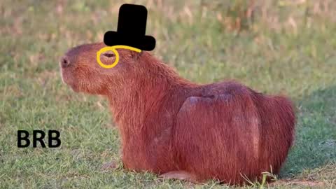 Chris online show from February 2026 07:21:01 PM