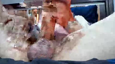 Snapshot of rexwanker4everyone chatting on March 2025 02:09:01 AM Rexwanker4everyone online show from March 2025 02:09:01 AM