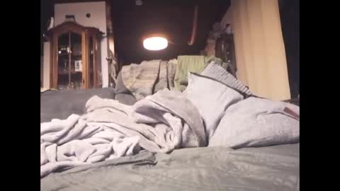 Rey online show from January 2026 09:51:01 PM