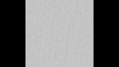 Reynspen online show from January 2026 11:10:02 PM