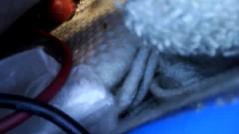 Snapshot of rgglen986 chatting on February 2026 02:36:01 PM rgglen986 online show from February 2026 02:36:01 PM