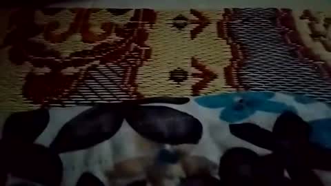 Snapshot of rhmvsword chatting on May 2026 10:20:02 AM rhmvsword online show from May 2026 10:20:02 AM