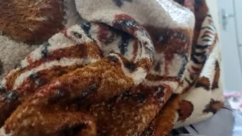 Snapshot of ricard440 chatting on January 2025 01:16:02 PM ricard440 online show from January 2025 01:16:02 PM