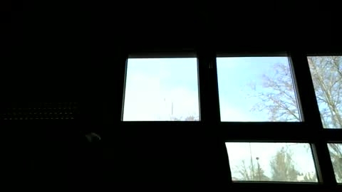 ricardohawtin online show from February 2026 11:09:02 AM