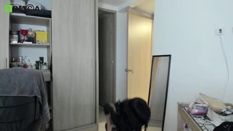 RickyDicot 13 online show from September 2025 02:05:02 AM