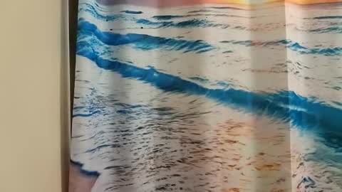 Snapshot of ridiculousness00 chatting on January 2025 11:34:02 PM bwc daddy online show from January 2025 11:34:02 PM