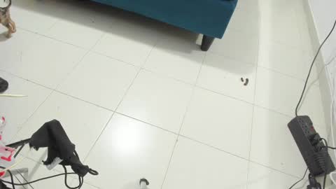 Snapshot of rihanna_hotx chatting on November 2025 02:56:02 AM Rihanna hotx online show from November 2025 02:56:02 AM