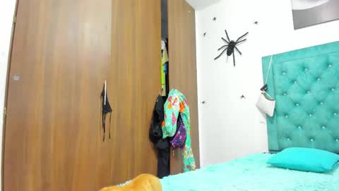 Snapshot of rihanna_hotx chatting on November 2025 09:20:02 AM Rihanna hotx online show from November 2025 09:20:02 AM