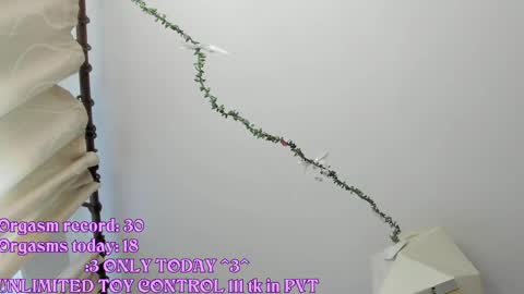My name is Riley Like my broadcast pls 3 online show from May 2026 03:24:02 AM