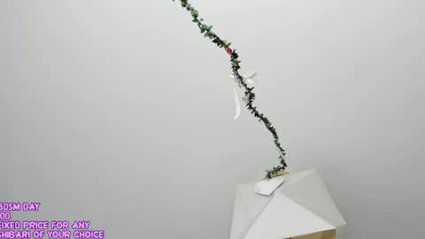 My name is Riley Like my broadcast pls 3 online show from May 2026 03:00:01 AM