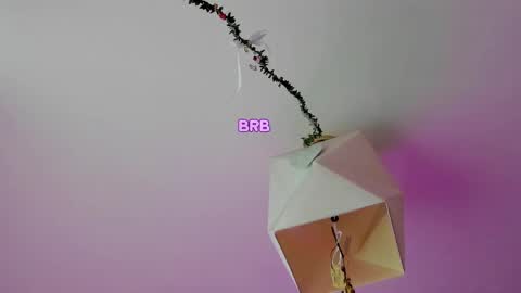 My name is Riley Like my broadcast pls 3 online show from June 2026 03:08:02 AM