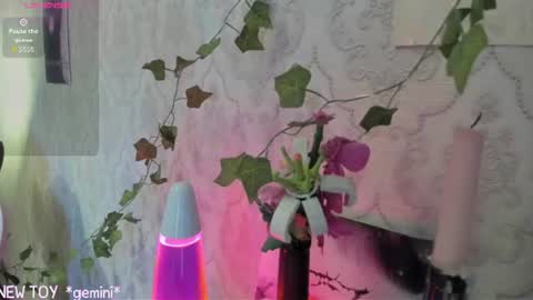 My name is Riley Like my broadcast pls 3 online show from July 2026 03:15:02 AM
