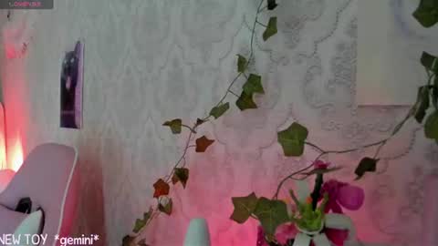 My name is Riley Like my broadcast pls 3 online show from July 2026 07:26:01 AM