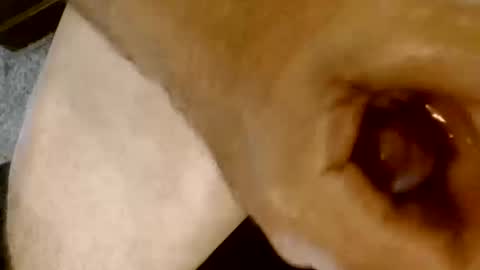 risingphoenix23 online show from October 2025 09:26:02 PM