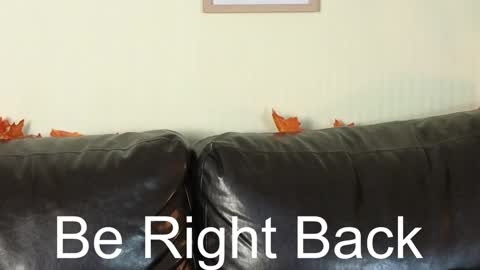 Snapshot of risky_dream chatting on December 2024 11:02:01 AM Alice online show from December 2024 11:02:01 AM