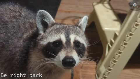 Snapshot of rndmzd chatting on February 2025 05:53:02 PM Ryan aka KeylimeRy online show from February 2025 05:53:02 PM