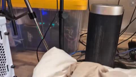 Snapshot of rndmzd chatting on March 2025 09:02:02 AM Ryan aka KeylimeRy online show from March 2025 09:02:02 AM