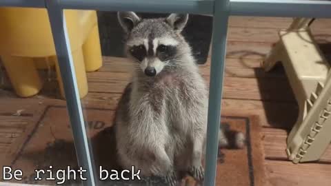 Snapshot of rndmzd chatting on December 2025 07:33:02 PM Ryan aka KeylimeRy online show from December 2025 07:33:02 PM