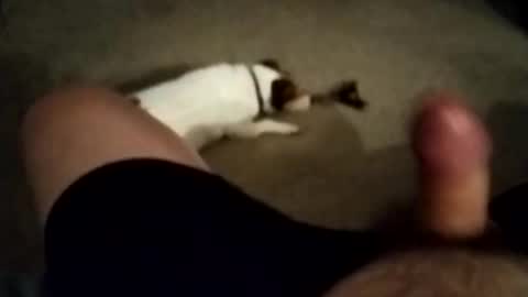 robbiebob6828 online show from November 2025 06:04:02 AM