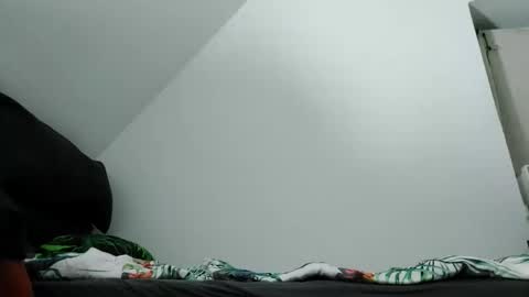 Snapshot of robertxxxpo chatting on October 2025 09:33:01 PM Zenek online show from October 2025 09:33:01 PM