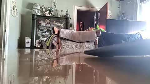 robke1966 online show from April 2026 06:40:01 AM