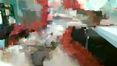 Rocco  aka DaddyRoc online show from February 2026 01:38:01 PM