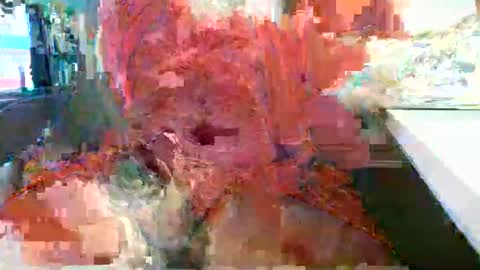 Rocco  aka DaddyRoc online show from February 2026 12:12:01 PM