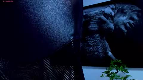 Snapshot of roccosaints_1 chatting on February 2026 06:01:01 AM santos online show from February 2026 06:01:01 AM