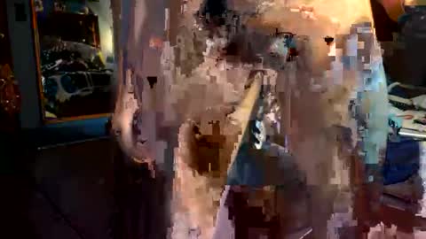 rockdrigo31 online show from January 2026 09:58:02 AM