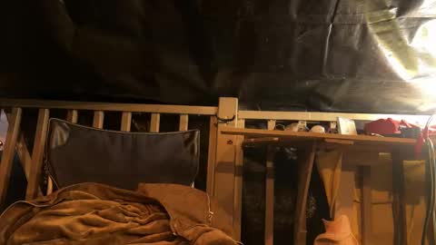 Snapshot of rockemx chatting on September 2025 02:26:01 AM rockemx online show from September 2025 02:26:01 AM