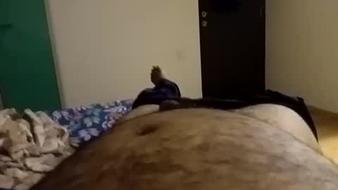 rockikoki online show from February 2026 08:02:02 PM