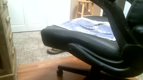 rocky_55 online show from July 2026 04:47:02 PM