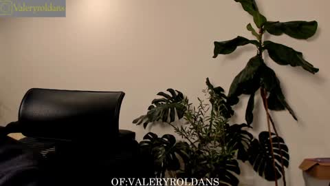 Snapshot of roldansvalery chatting on December 2024 04:04:02 AM Valery Roldans online show from December 2024 04:04:02 AM