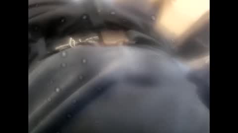 Snapshot of rollino83 chatting on November 2025 08:45:01 AM rollino83 online show from November 2025 08:45:01 AM