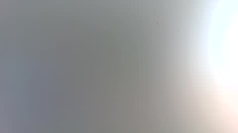 Trinked online show from January 2026 02:36:02 AM