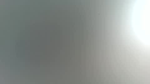 Trinked online show from February 2026 04:20:02 AM