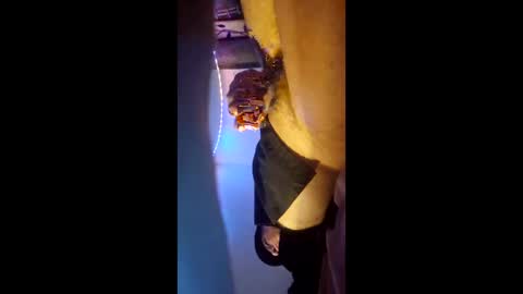 Snapshot of ronnieditzy chatting on March 2026 06:23:02 PM ronnieditzy online show from March 2026 06:23:02 PM